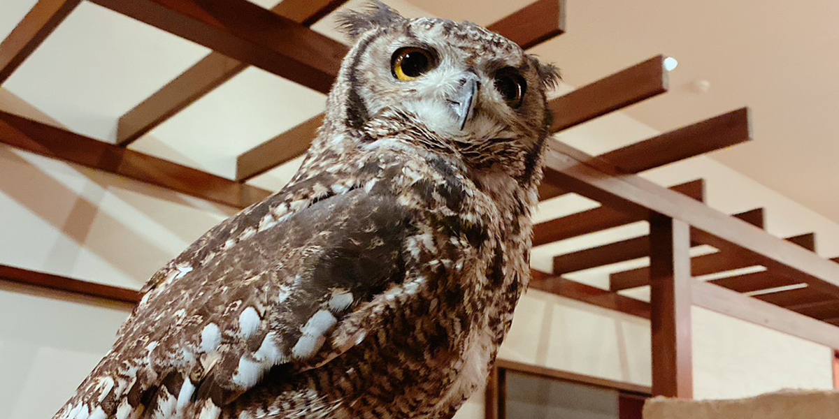 飲み放題や各種2次会等で愛用されている「じんutazu」の、こだわりの個室空間で特別な時間をお過ごし下さい！