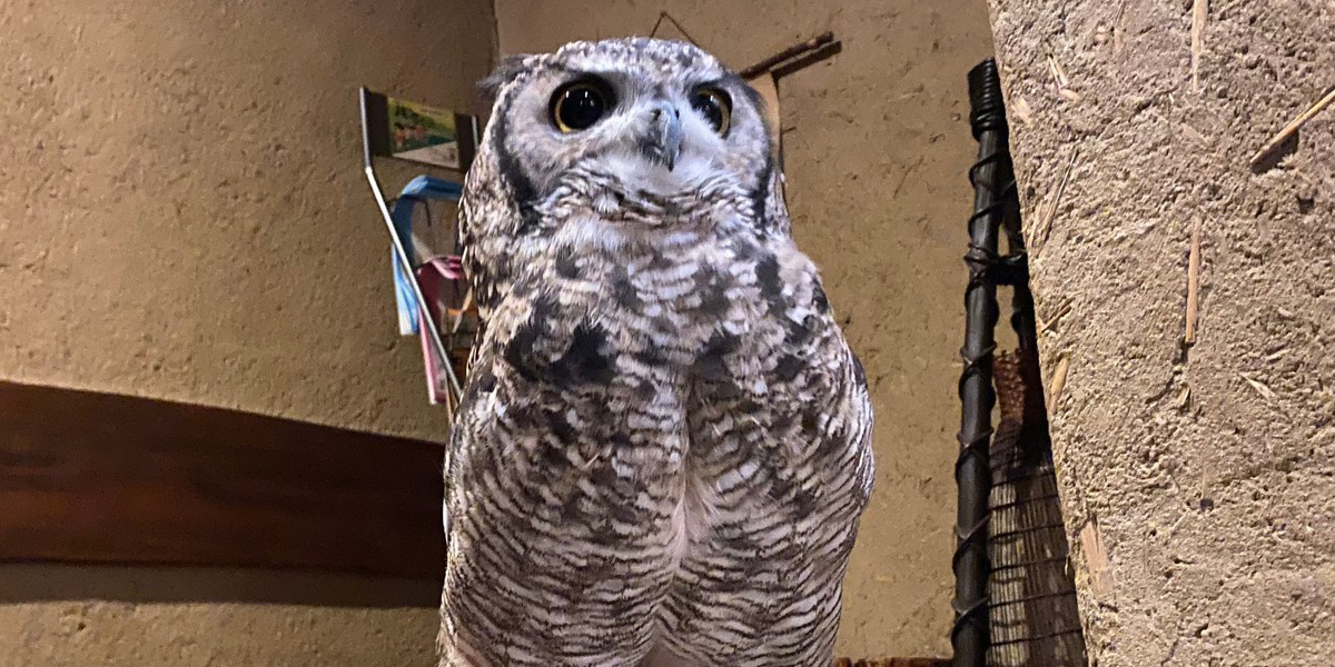 飲み放題や各種2次会等で愛用されている「じんutazu」の、こだわりの個室空間で特別な時間をお過ごし下さい！