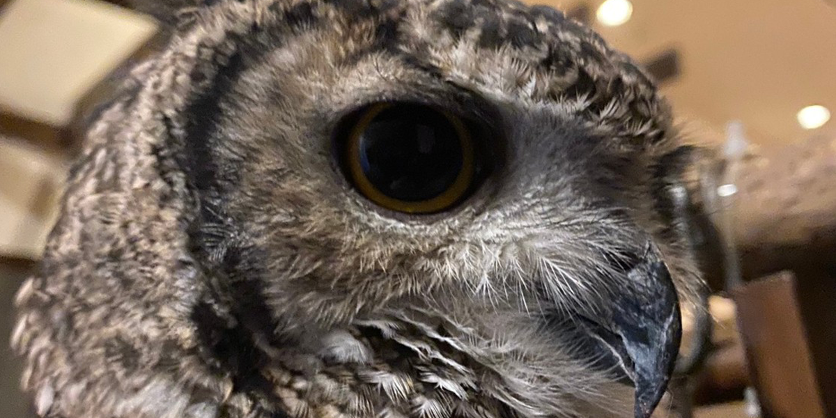 飲み放題や各種2次会等で愛用されている「じんutazu」の、こだわりの個室空間で特別な時間をお過ごし下さい！