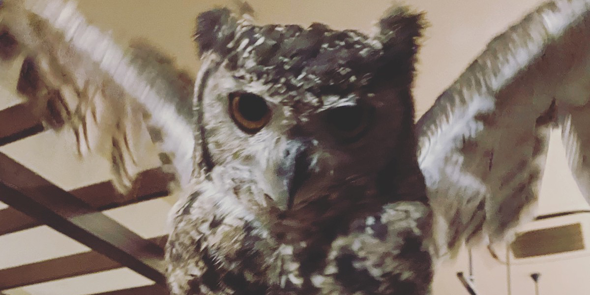 飲み放題や各種2次会等で愛用されている「じんutazu」の、こだわりの個室空間で特別な時間をお過ごし下さい！