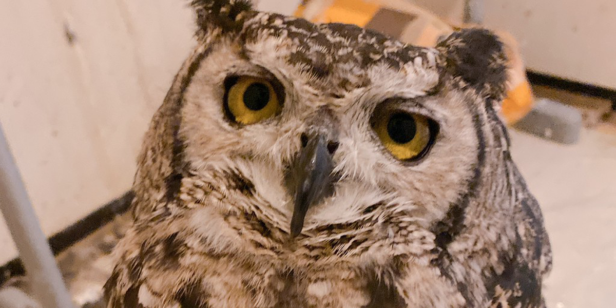 飲み放題や各種2次会等で愛用されている「じんutazu」の、こだわりの個室空間で特別な時間をお過ごし下さい！