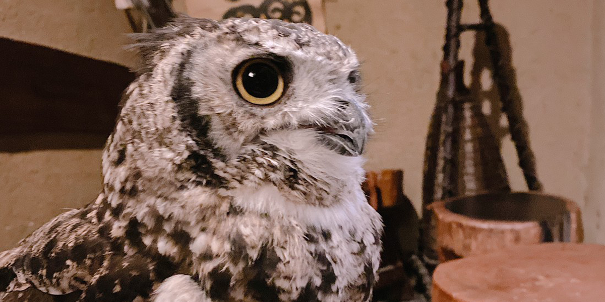 飲み放題や各種2次会等で愛用されている「じんutazu」の、こだわりの個室空間で特別な時間をお過ごし下さい！